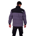Пуховик Унісекс The North Face 1996 Retro Nuptse Jacket 700 NF0A3XEO-PW8