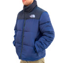 Пуховик Унісекс The North Face 1996 Retro Nuptse Jacket NF0A3C8D-A0A