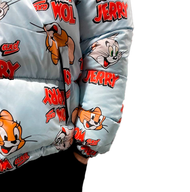 Пуховик Унісекс The North Face 1996 Retro Nuptse Jacket NF0A3C8D-A0T