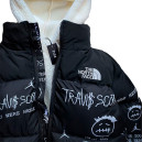 Пуховик Унісекс The North Face 1996 Retro Nuptse Jacket NF0A3C8D-A0V