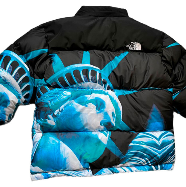 Пуховик Унісекс The North Face 1996 Retro Nuptse Jacket NF0A3C8D-A1T