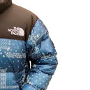 Пуховик Унісекс The North Face 1996 Retro Nuptse Jacket NF0A3C8D-NWA