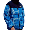 Пуховик Унісекс The North Face 1996 Retro Nuptse Jacket NF0A3C8D-NWA